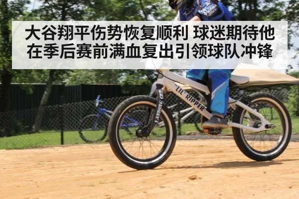 大谷翔平伤势恢复顺利 球迷期待他在季后赛前满血复出引领球队冲锋